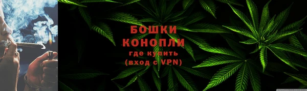 спиды Арсеньев
