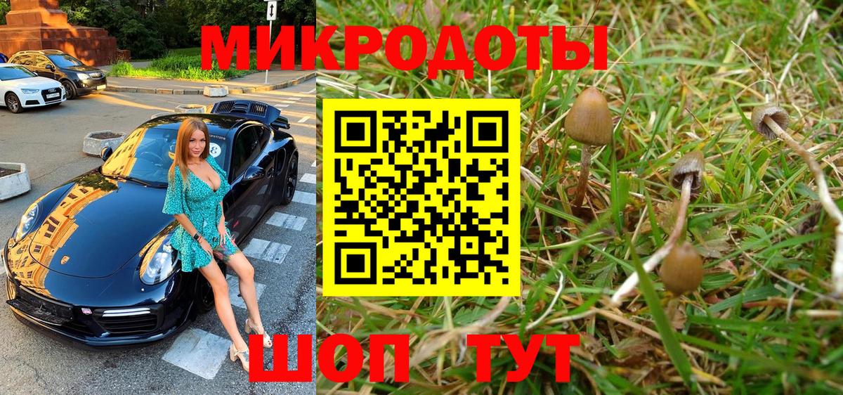 Джанкой  где найти   Вход с VPN  Галлюциногенные грибы GOLDEN TEACHER 